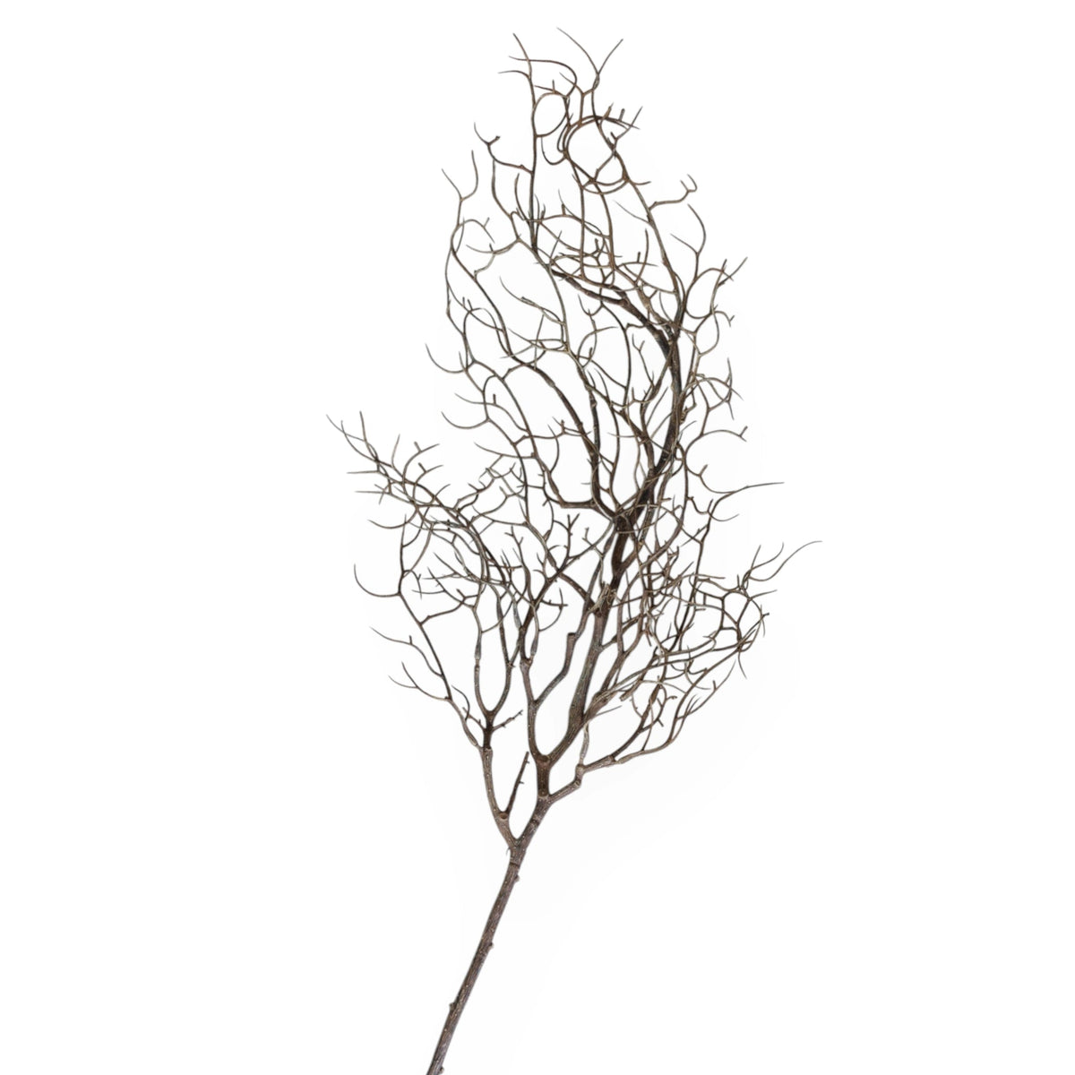 Faux Curly Twig Stem | 83cm - Wander & Wild Home
