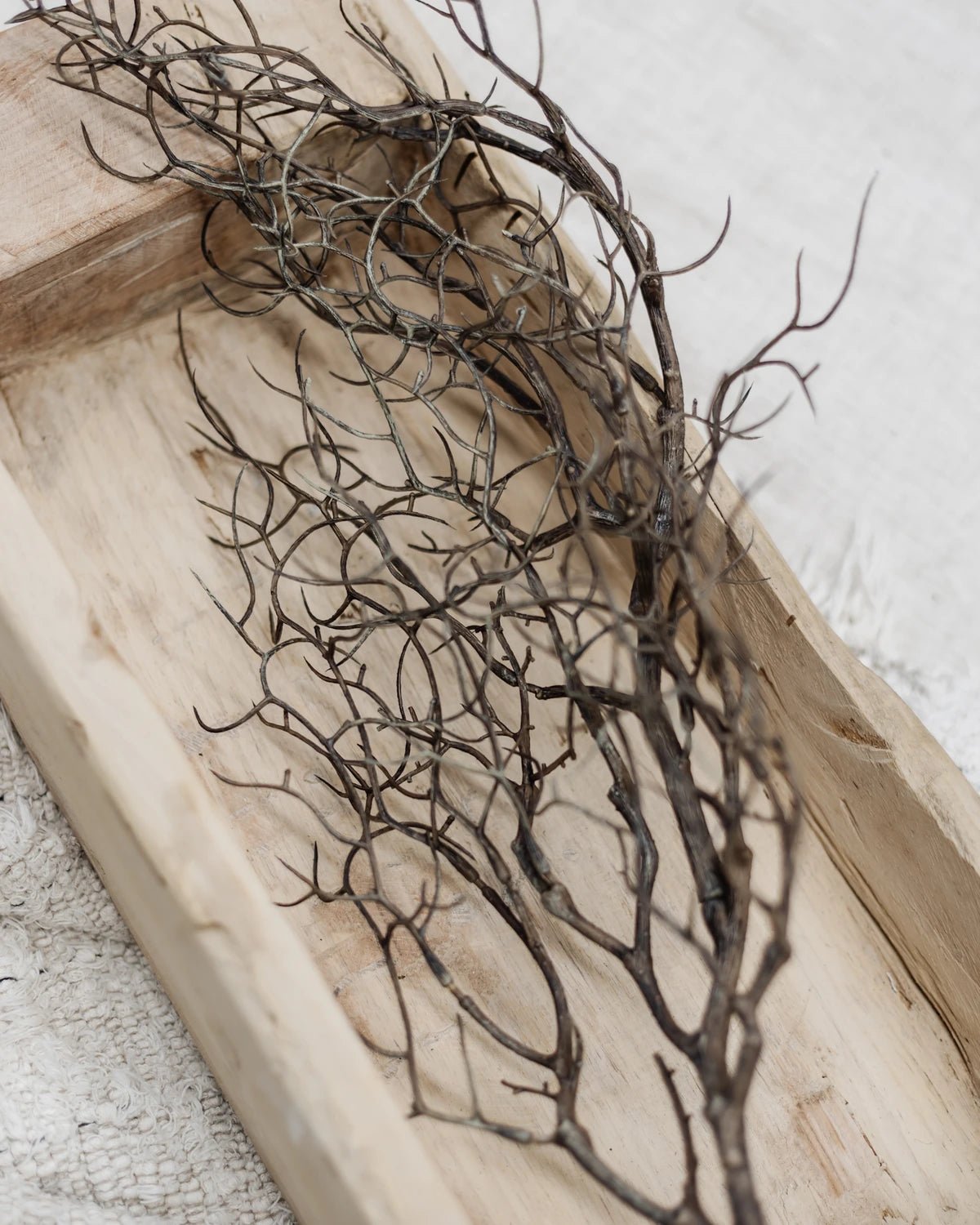 Faux Curly Twig Stem | 83cm - Wander & Wild Home