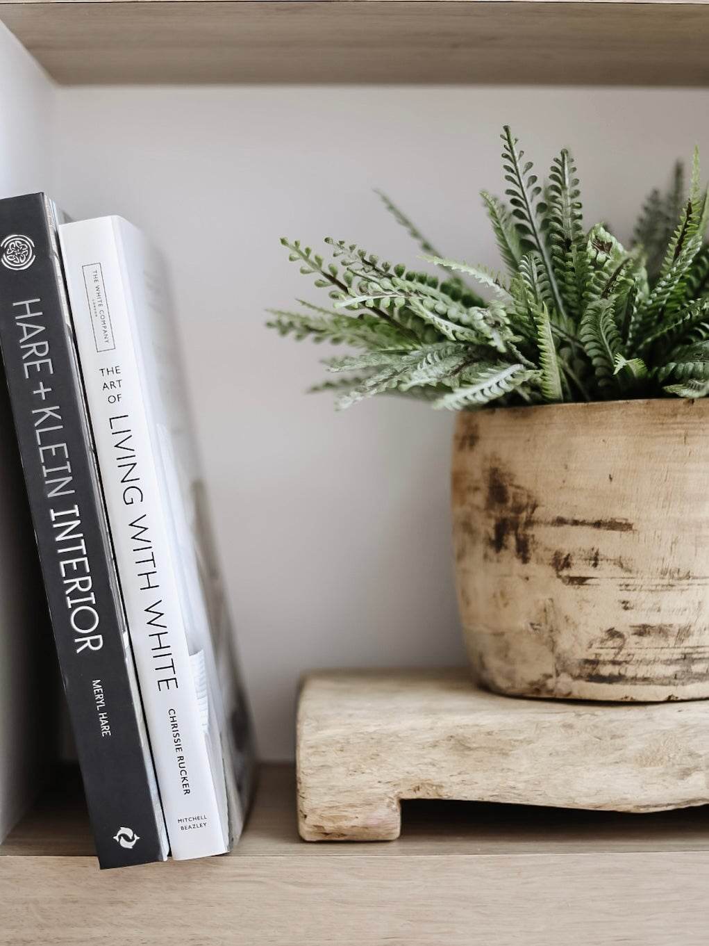 Fern Bush Stem | 33cm - Wander & Wild Home