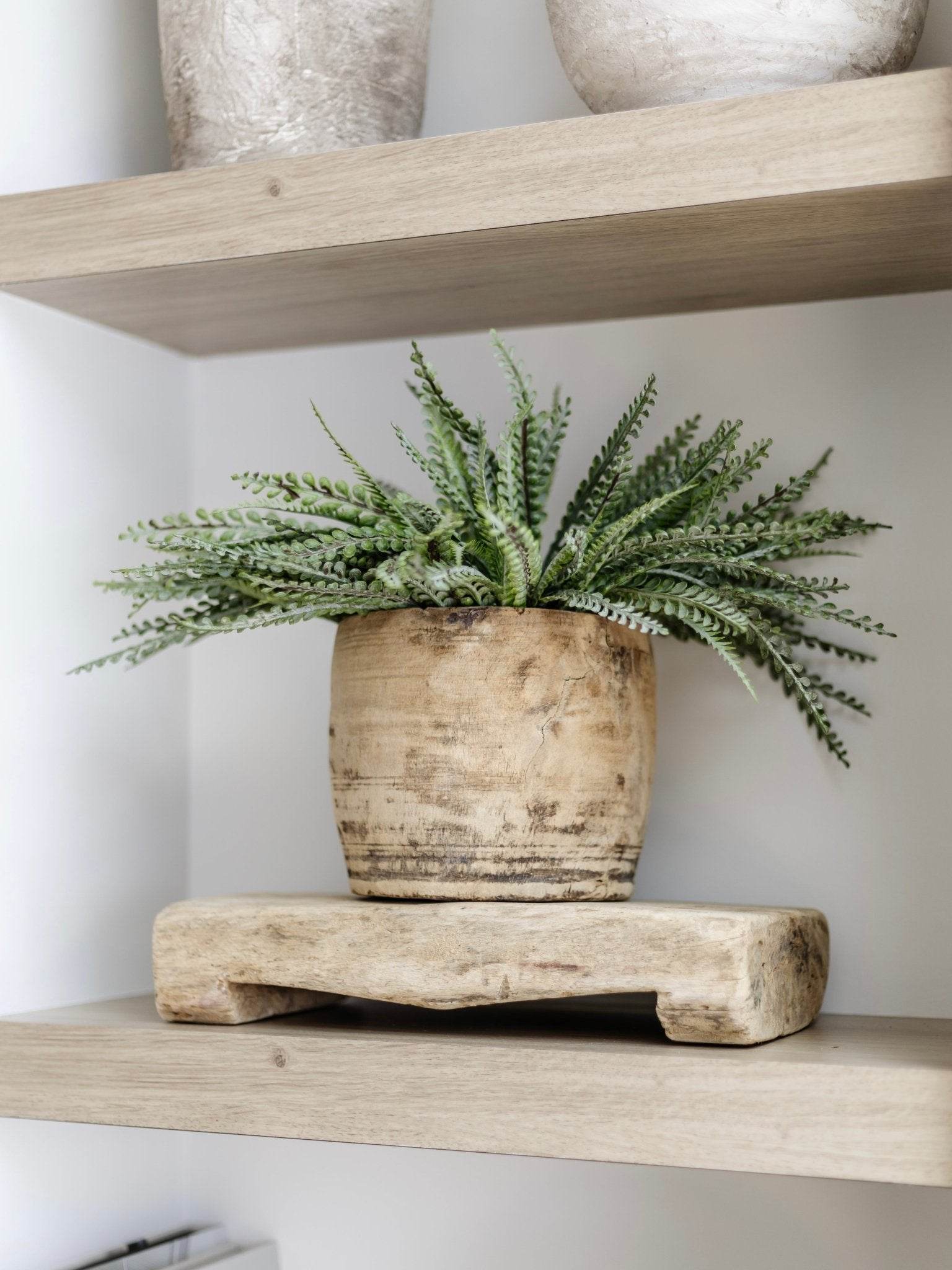 Fern Bush Stem | 33cm - Wander & Wild Home