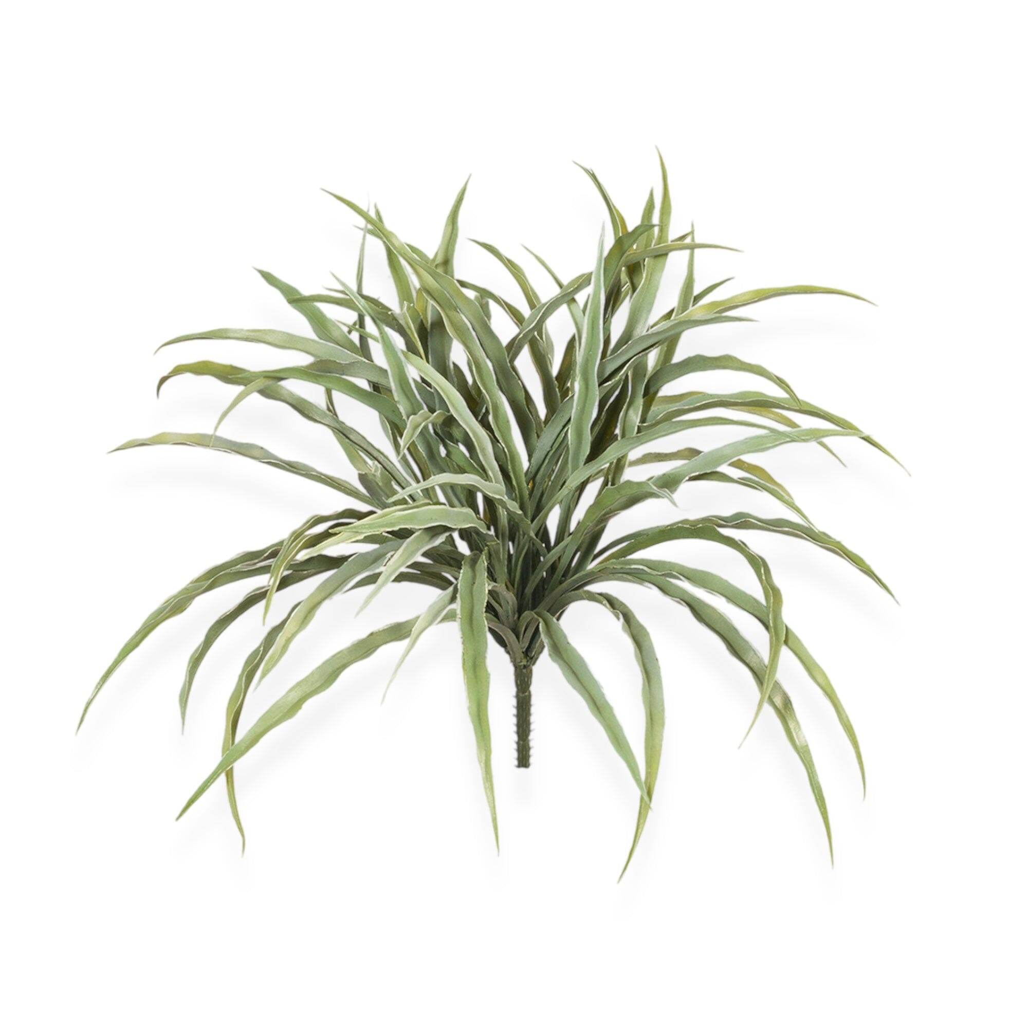 Grass Bush Stem | 30cm - Wander & Wild Home