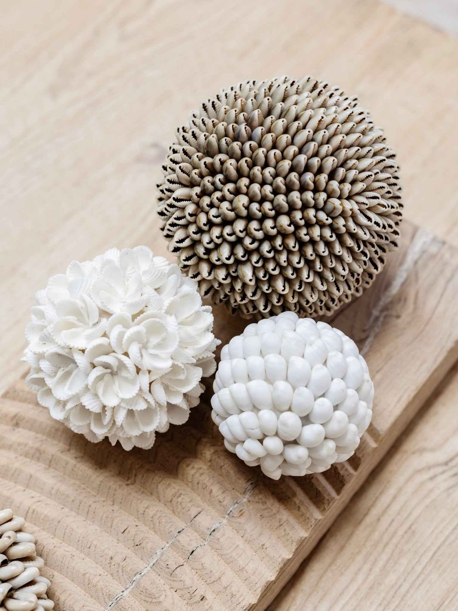 Custom Shell Ball Trio - S/M/L