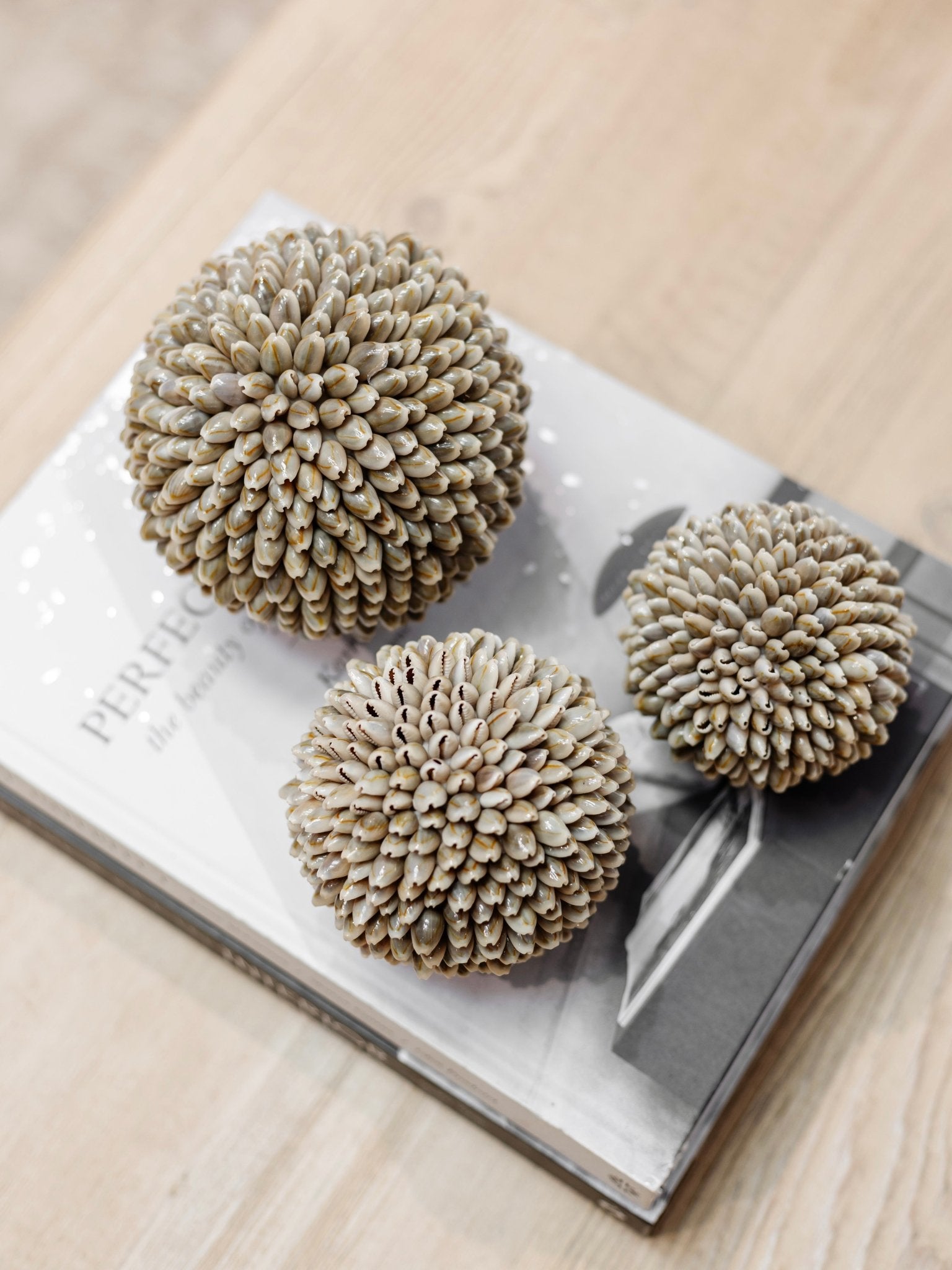 Iska | Cowrie Shell Ball - Wander & Wild Home