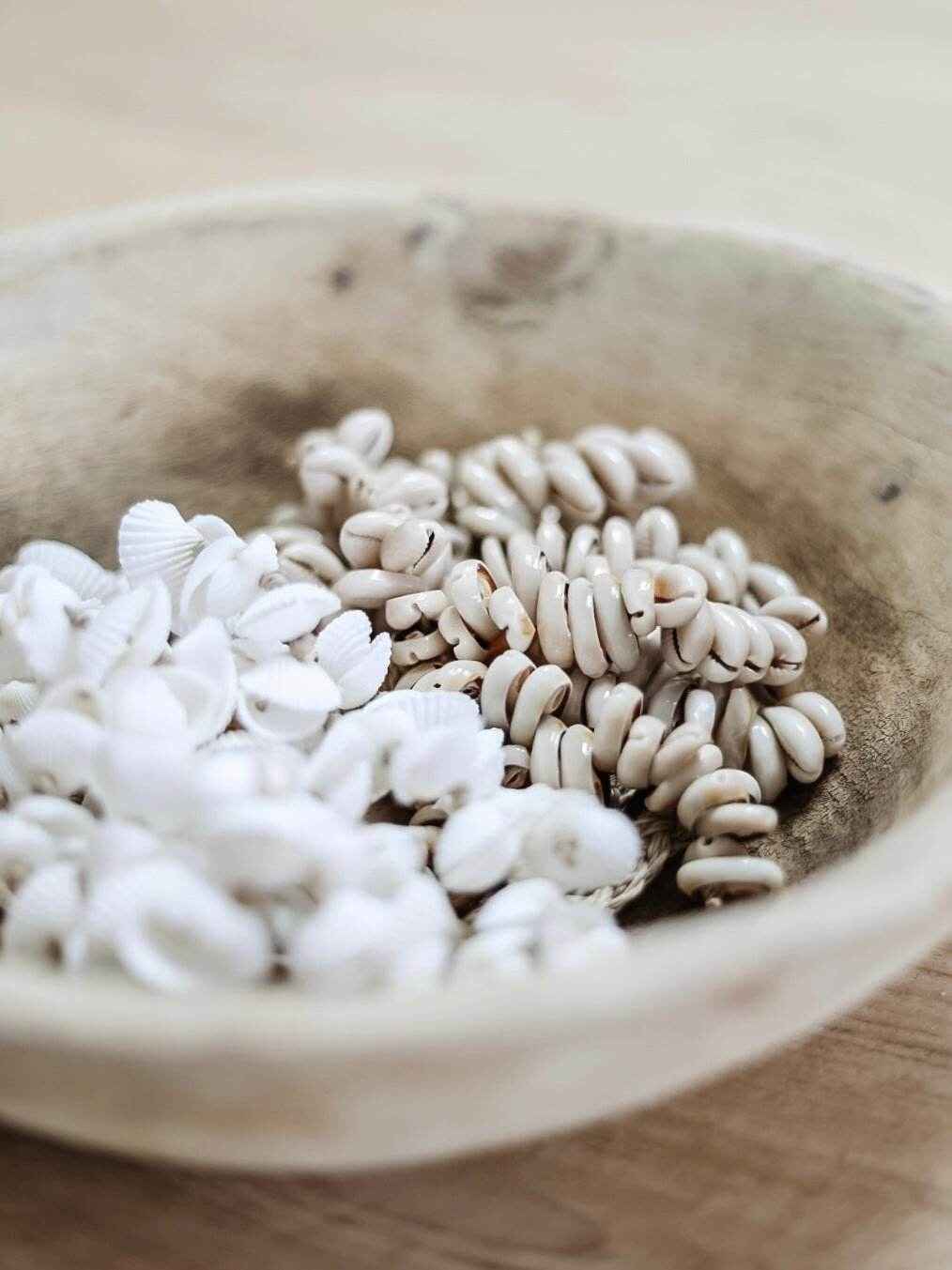 Oceana Cowrie Shell Tassel