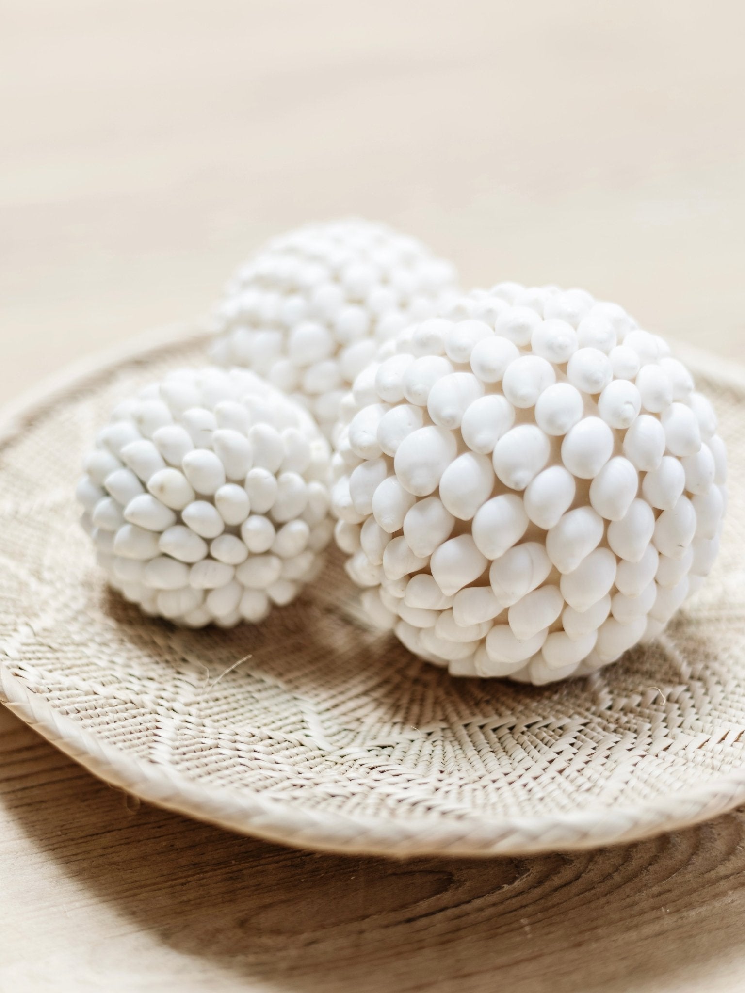 Ola | Smooth Shell Ball - Wander & Wild Home