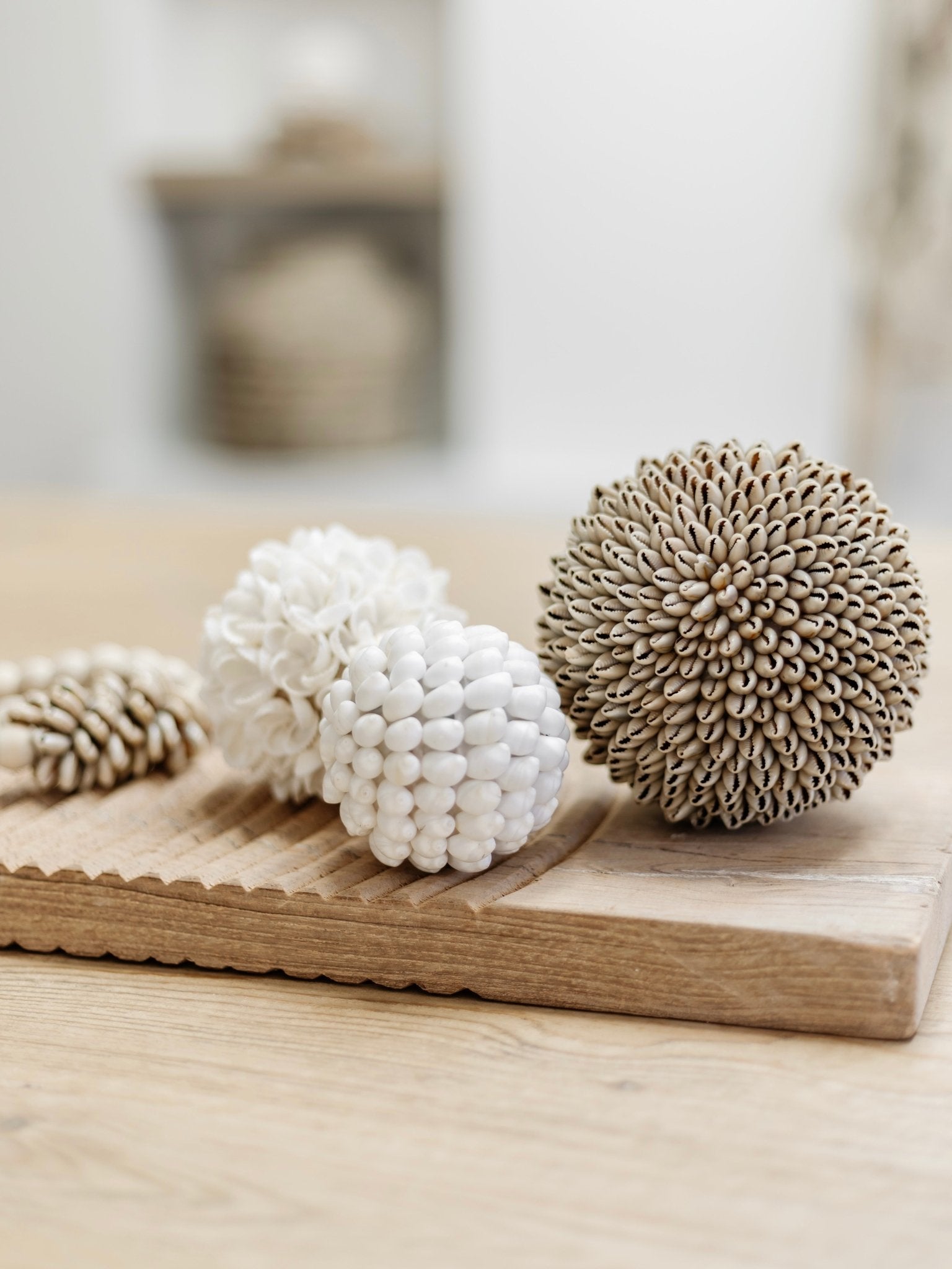 Ola | Smooth Shell Ball - Wander & Wild Home