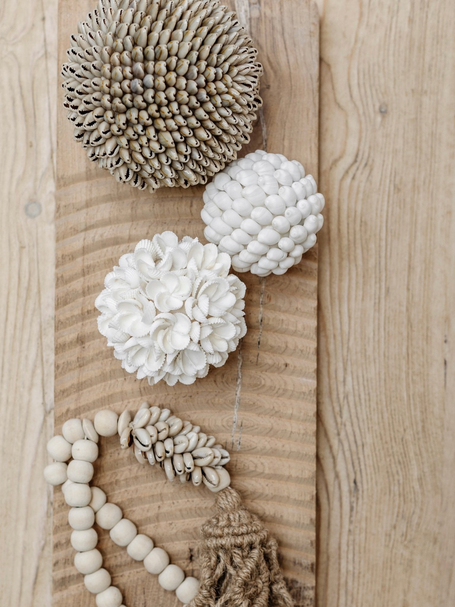 Ola | Smooth Shell Ball - Wander & Wild Home