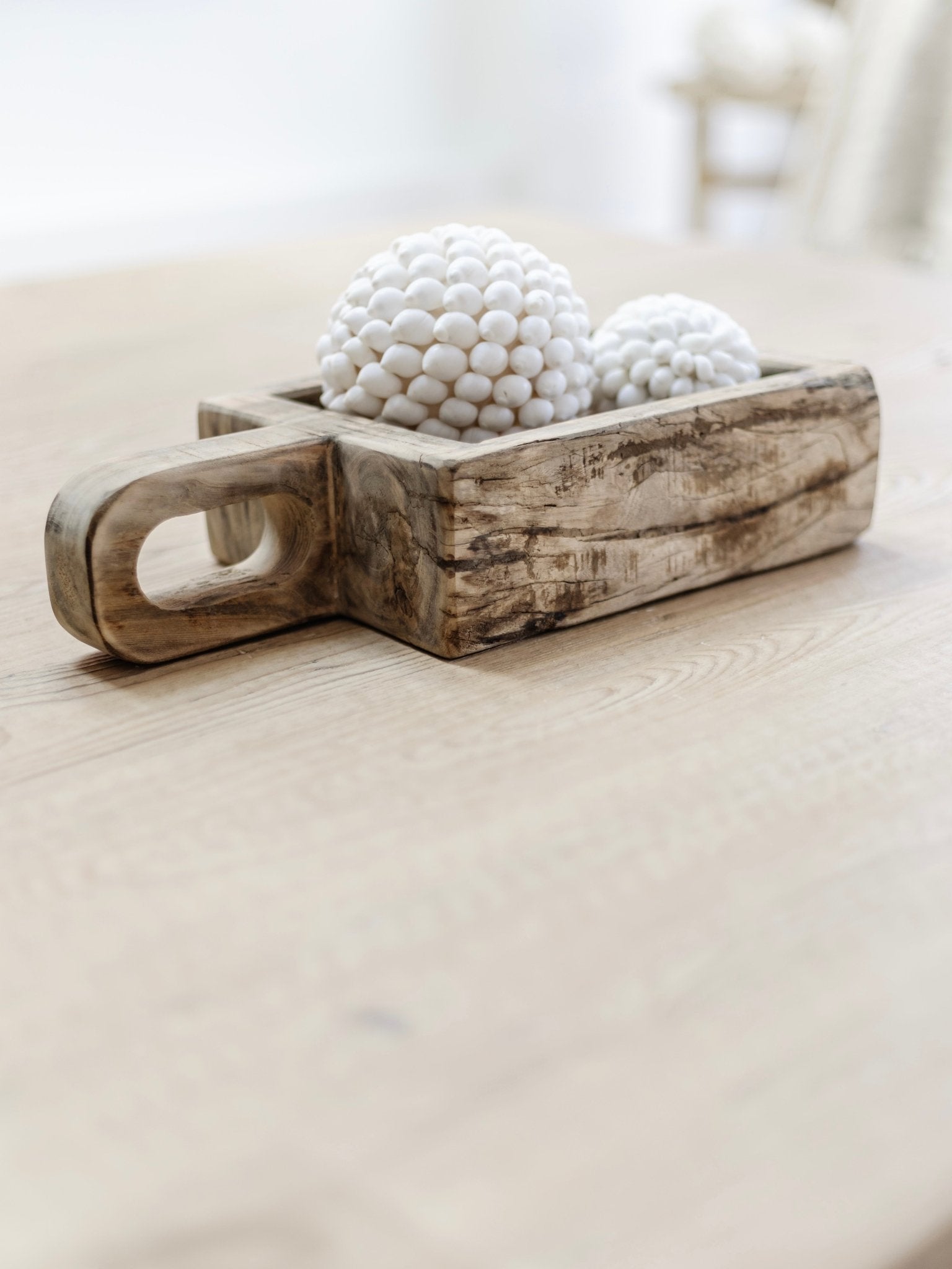 Ola | Smooth Shell Ball - Wander & Wild Home