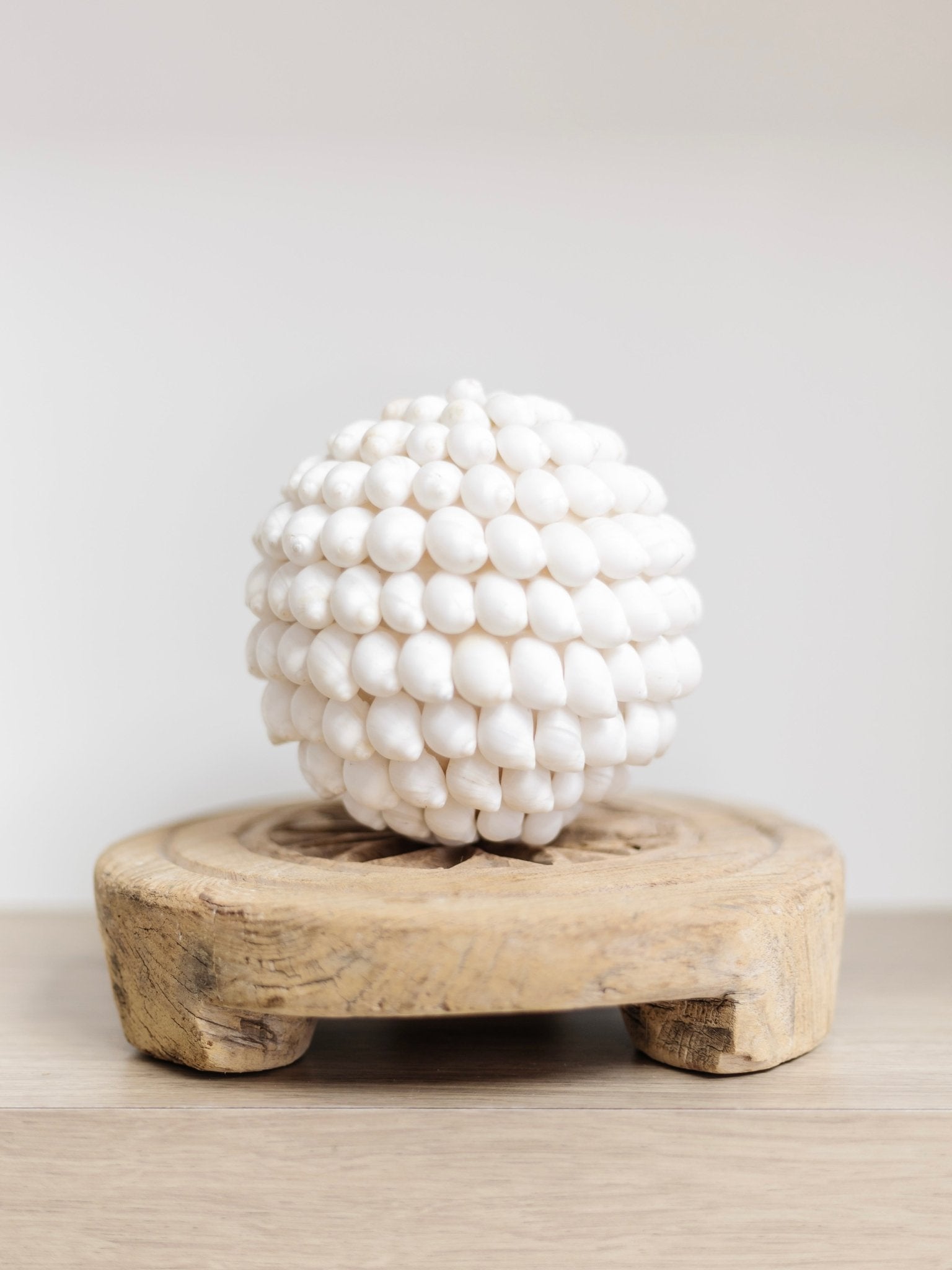 Ola | Smooth Shell Ball - Wander & Wild Home