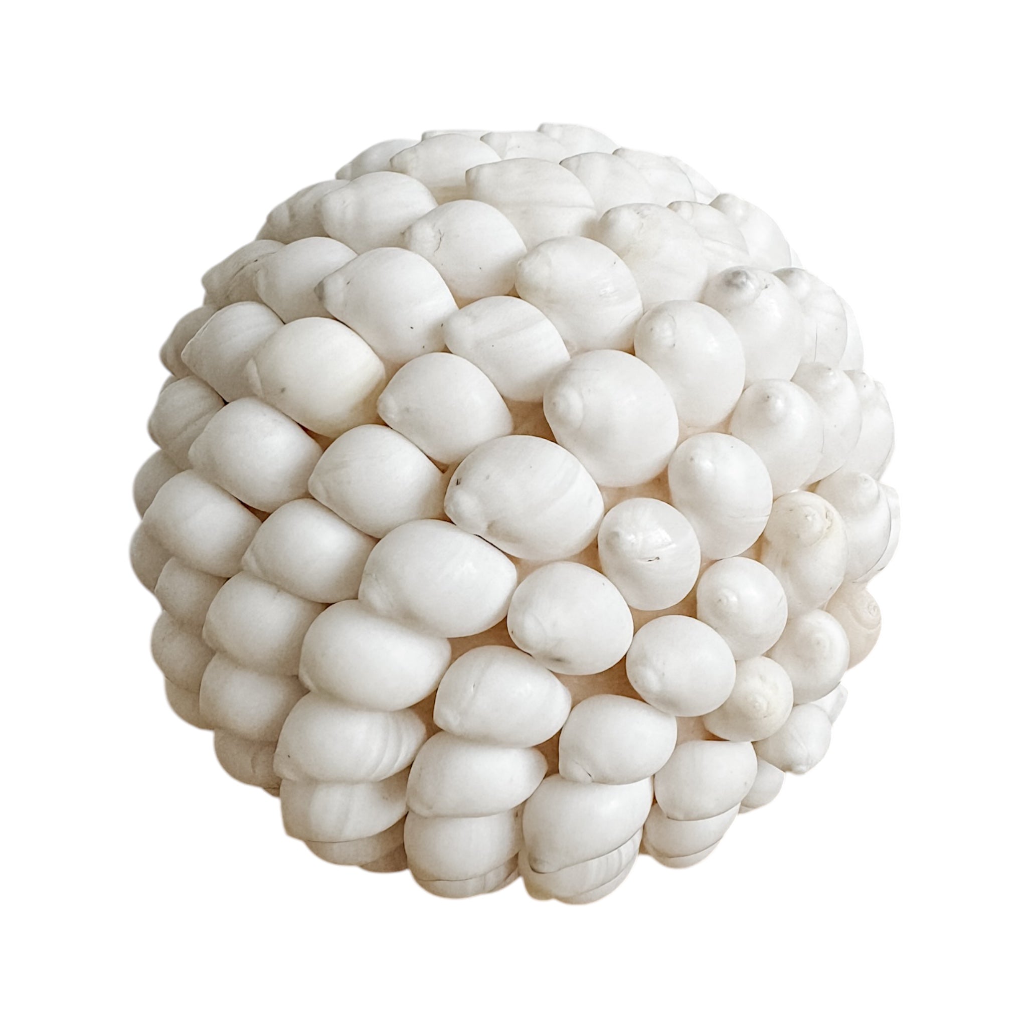 Ola | Smooth Shell Ball - Wander & Wild Home