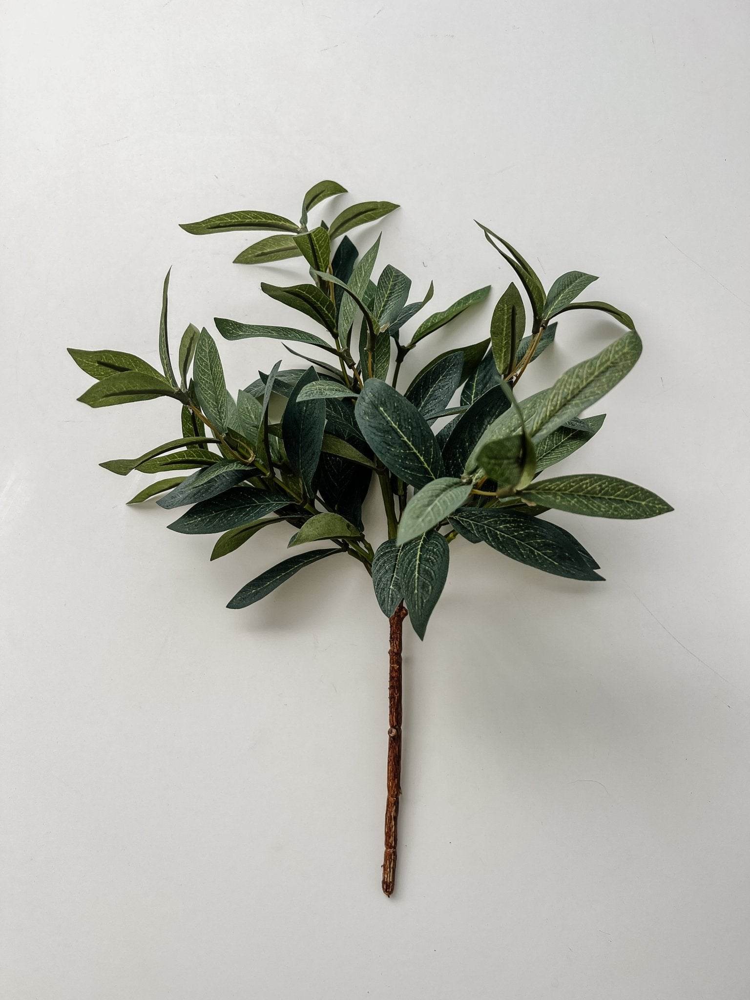 Olive Spray Stem | 40cm - Wander & Wild Home