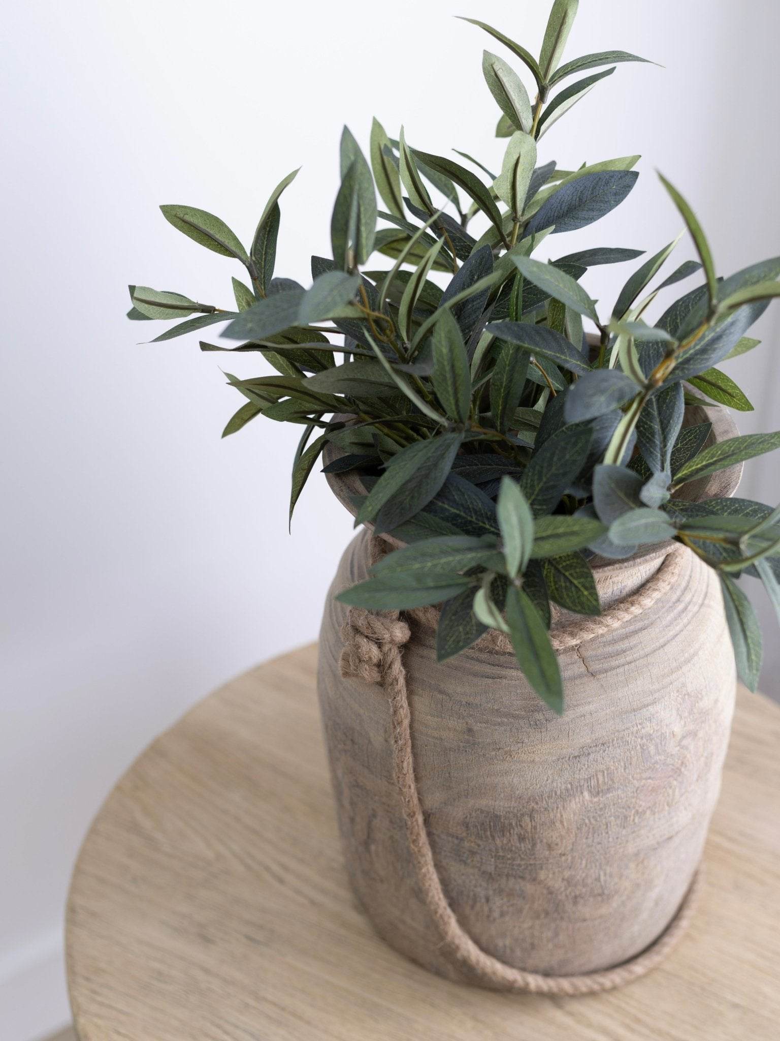 Olive Spray Stem | 40cm - Wander & Wild Home