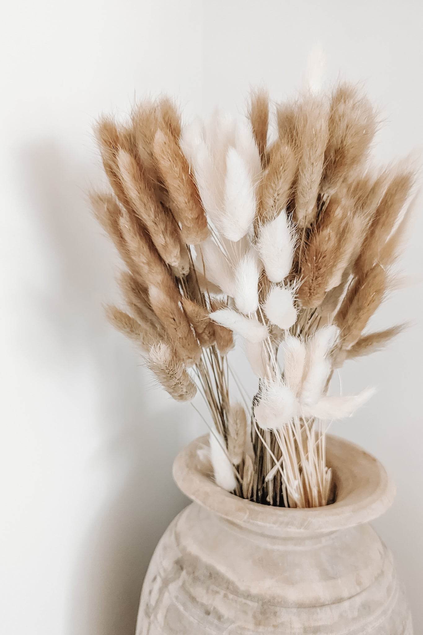 Preserved Bunny Tail spray - Wander & Wild Home