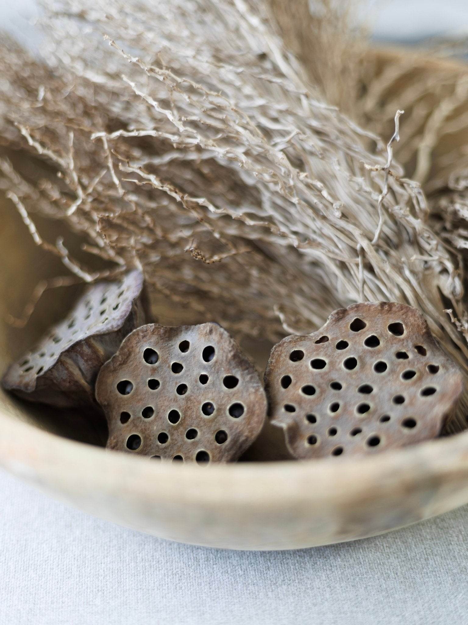 Preserved Lotus Pod (x2) | Natural - Wander & Wild Home