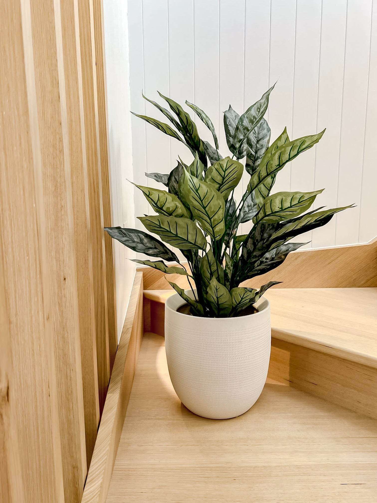 Silver Queen | 86cm - Wander & Wild Home