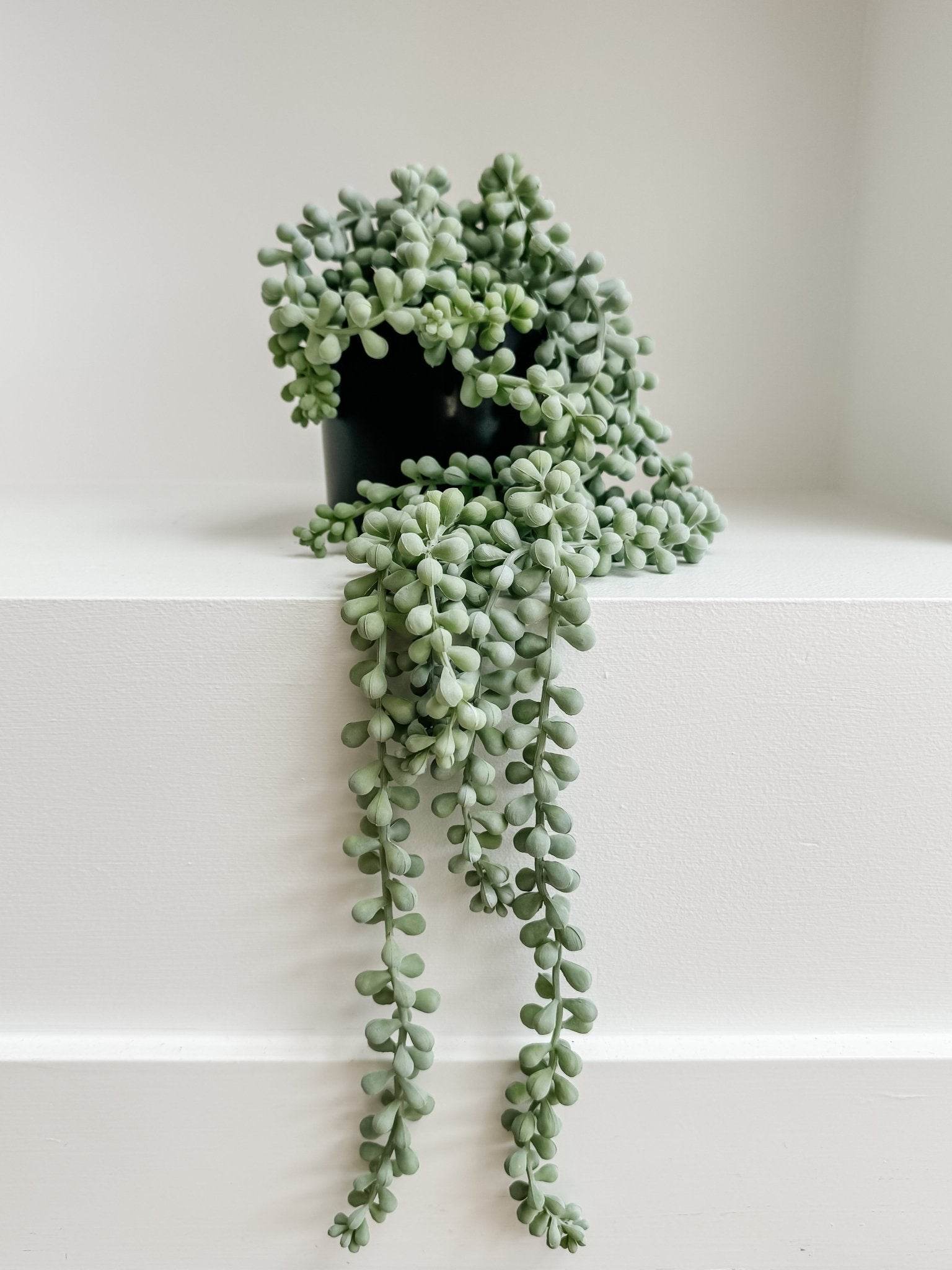 String Of Pearls - Wander & Wild Home