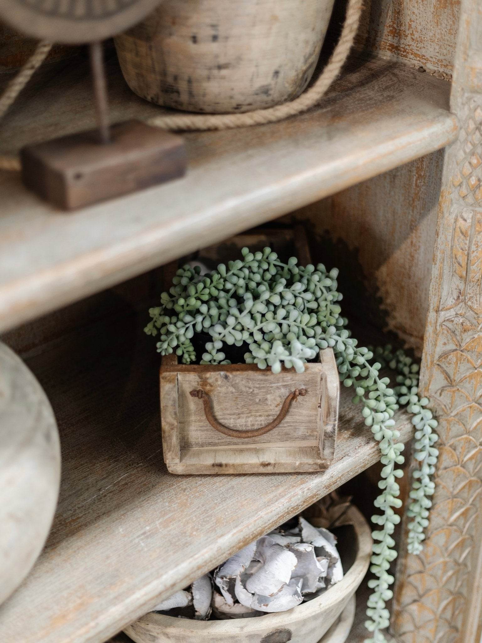 String Of Pearls - Wander & Wild Home