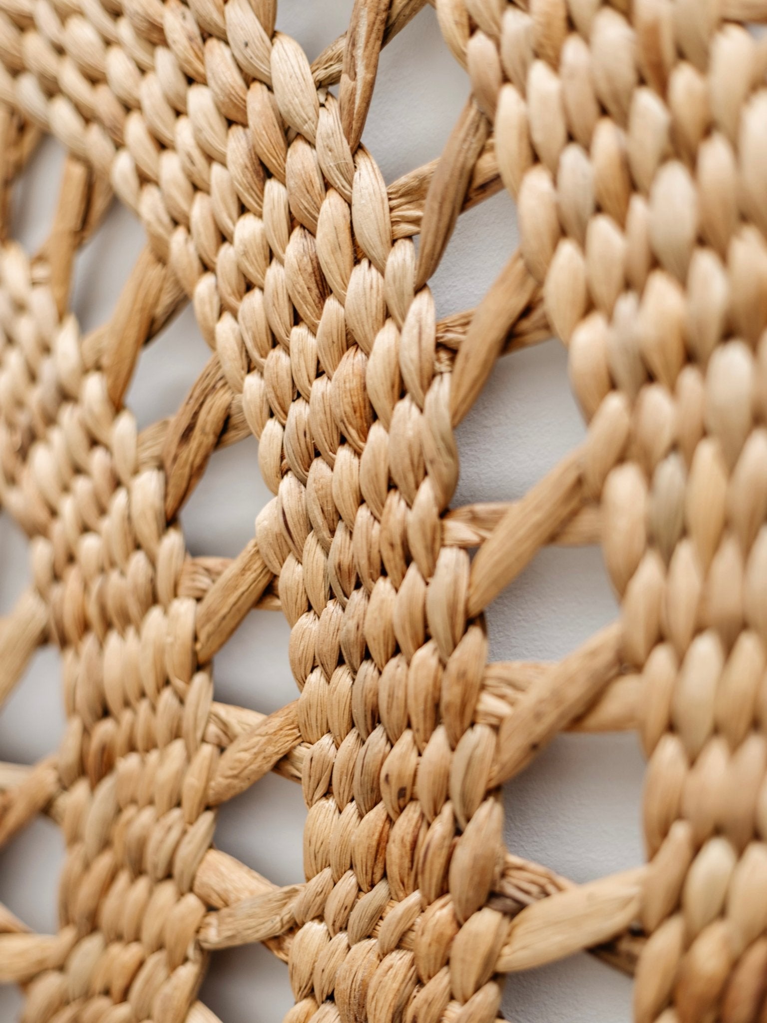 Tula | Woven Seagrass Wall Hanging - Wander & Wild Home