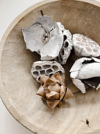 Vintage Indian Wooden Bowl -Bleached - Wander & Wild Home
