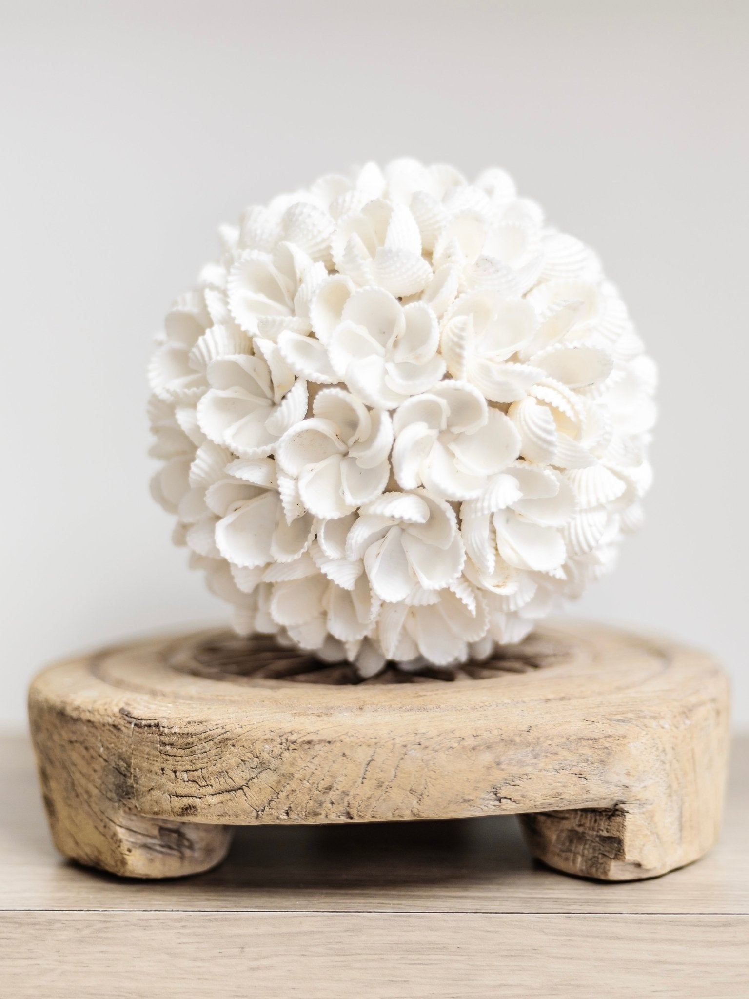 Yara | Frangipani Shell Ball - Wander & Wild Home