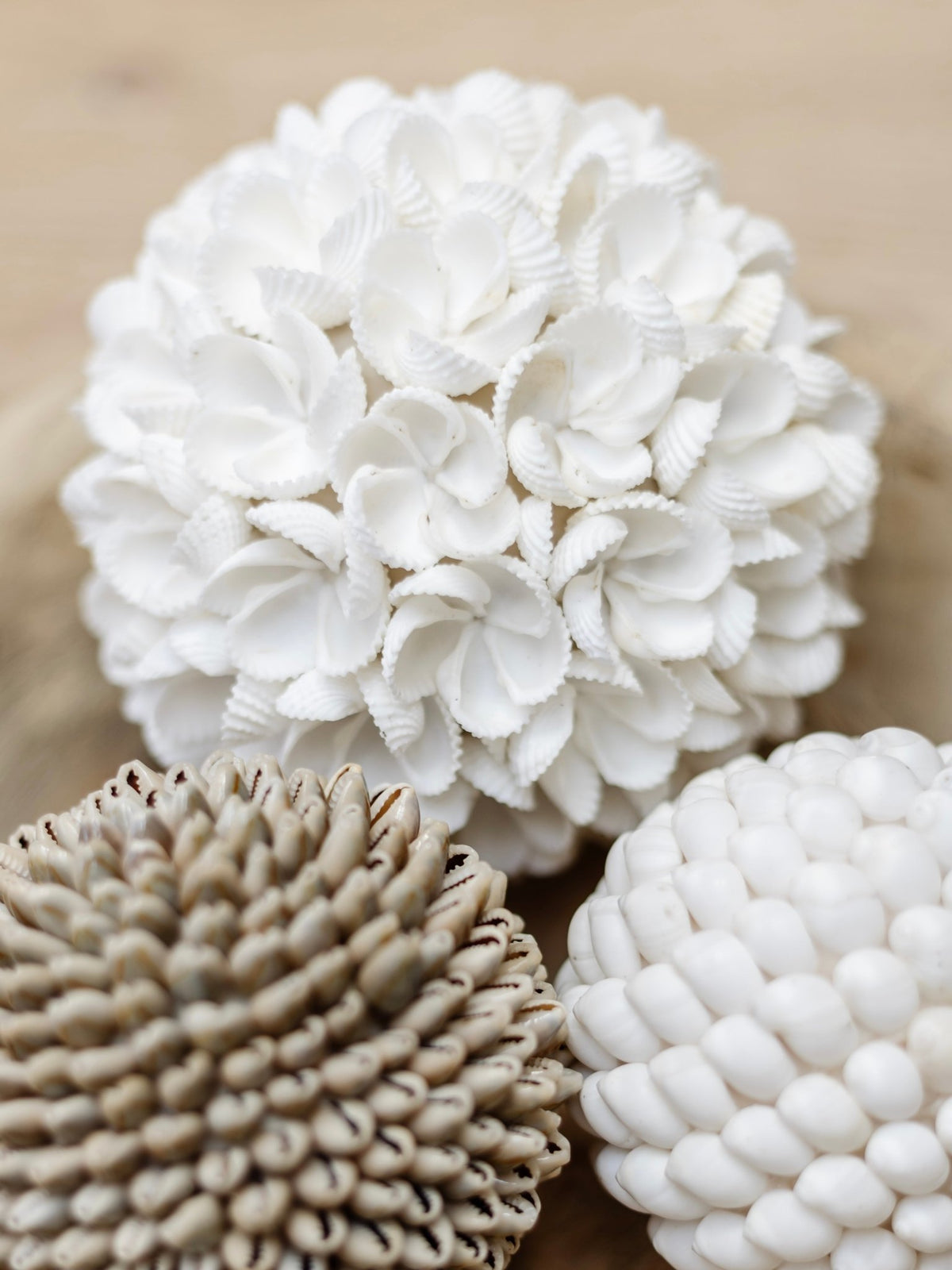 Yara | Frangipani Shell Ball - Wander & Wild Home