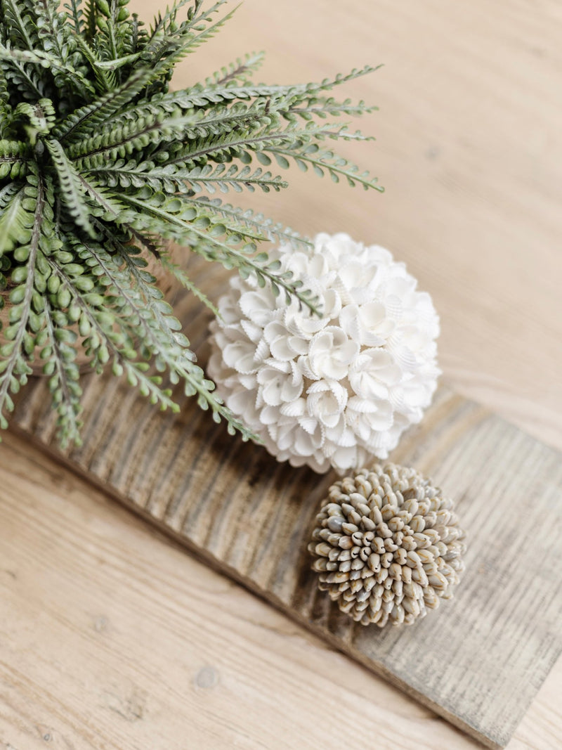 Yara | Frangipani Shell Ball - Wander & Wild Home