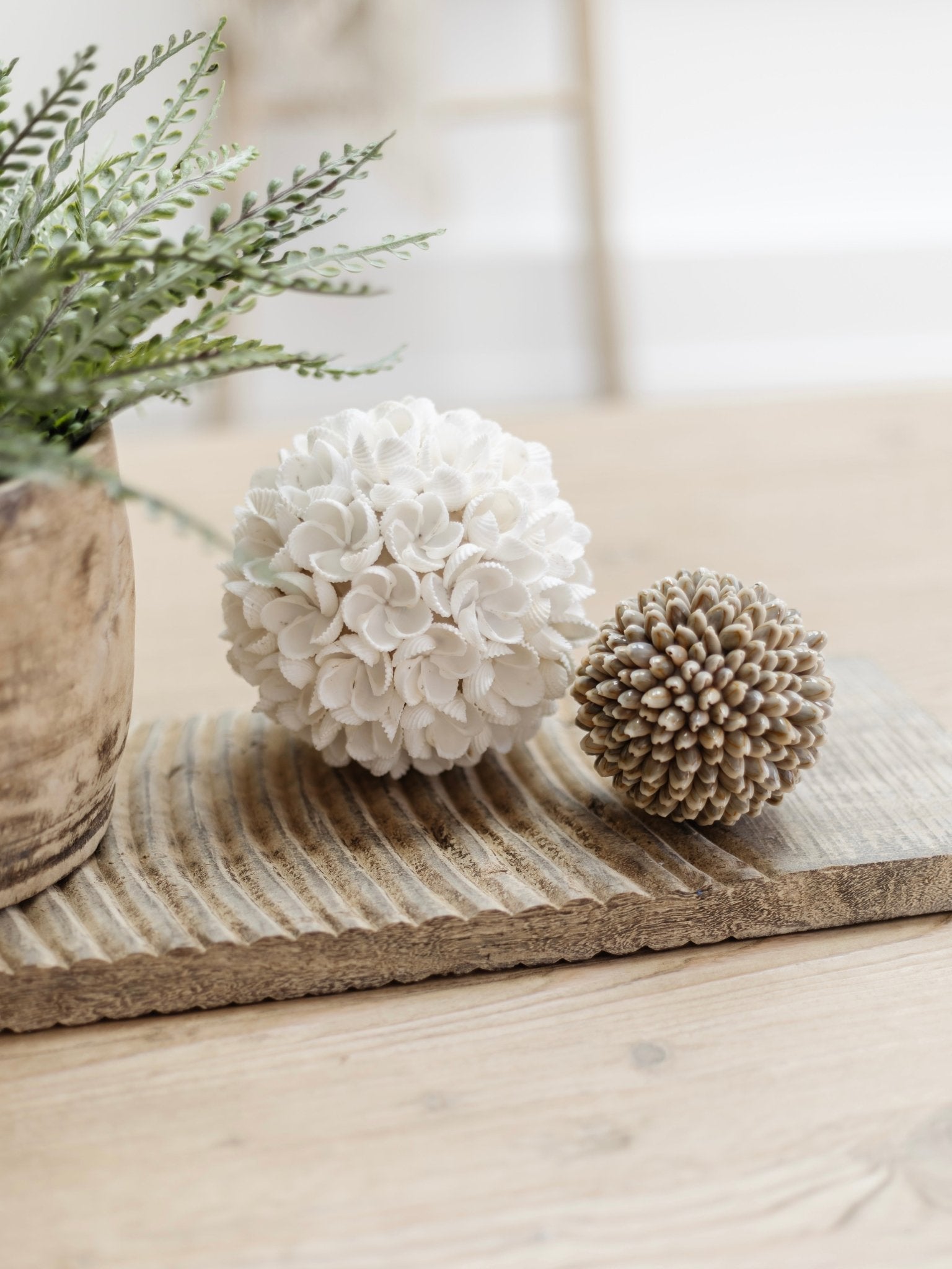 Yara | Frangipani Shell Ball - Wander & Wild Home