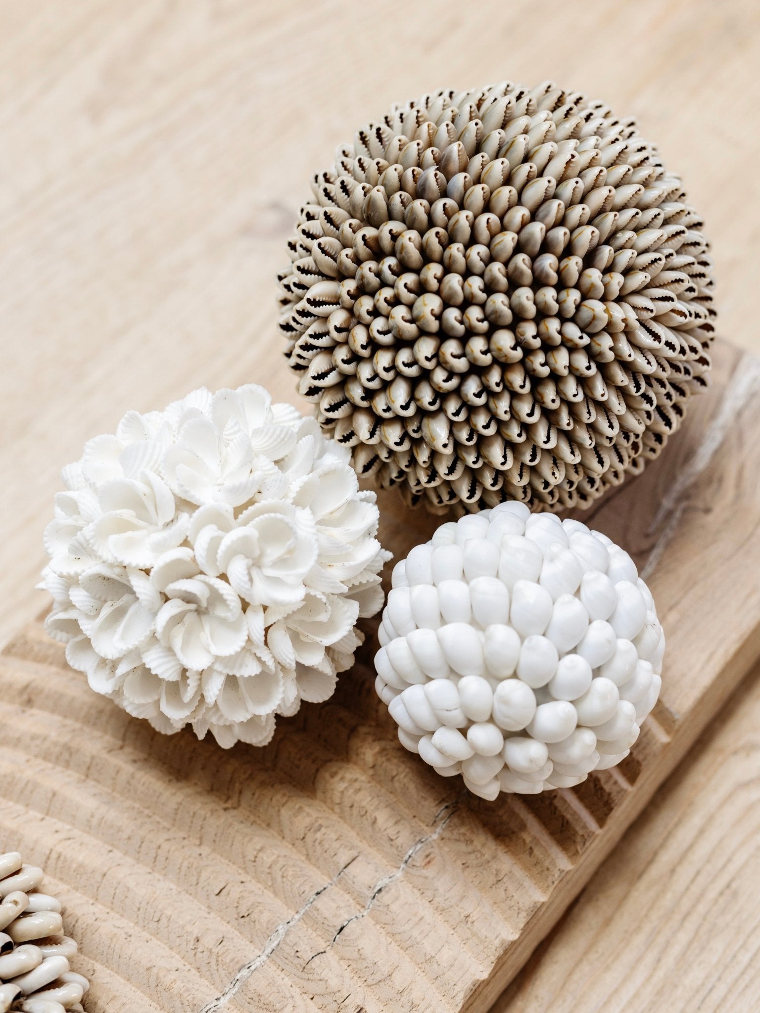 Yara | Frangipani Shell Ball - Wander & Wild Home