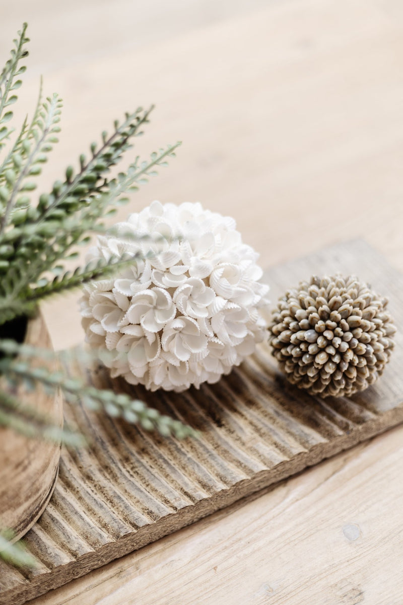 Yara | Frangipani Shell Ball - Wander & Wild Home
