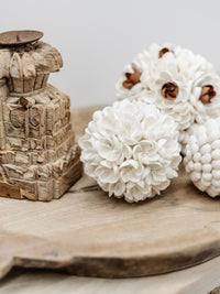 Yara | Frangipani Shell Decor Ball - Wander & Wild Home