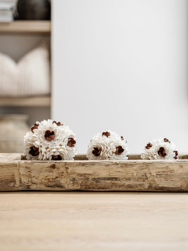Zaya | Textured Shell Ball - Wander & Wild Home