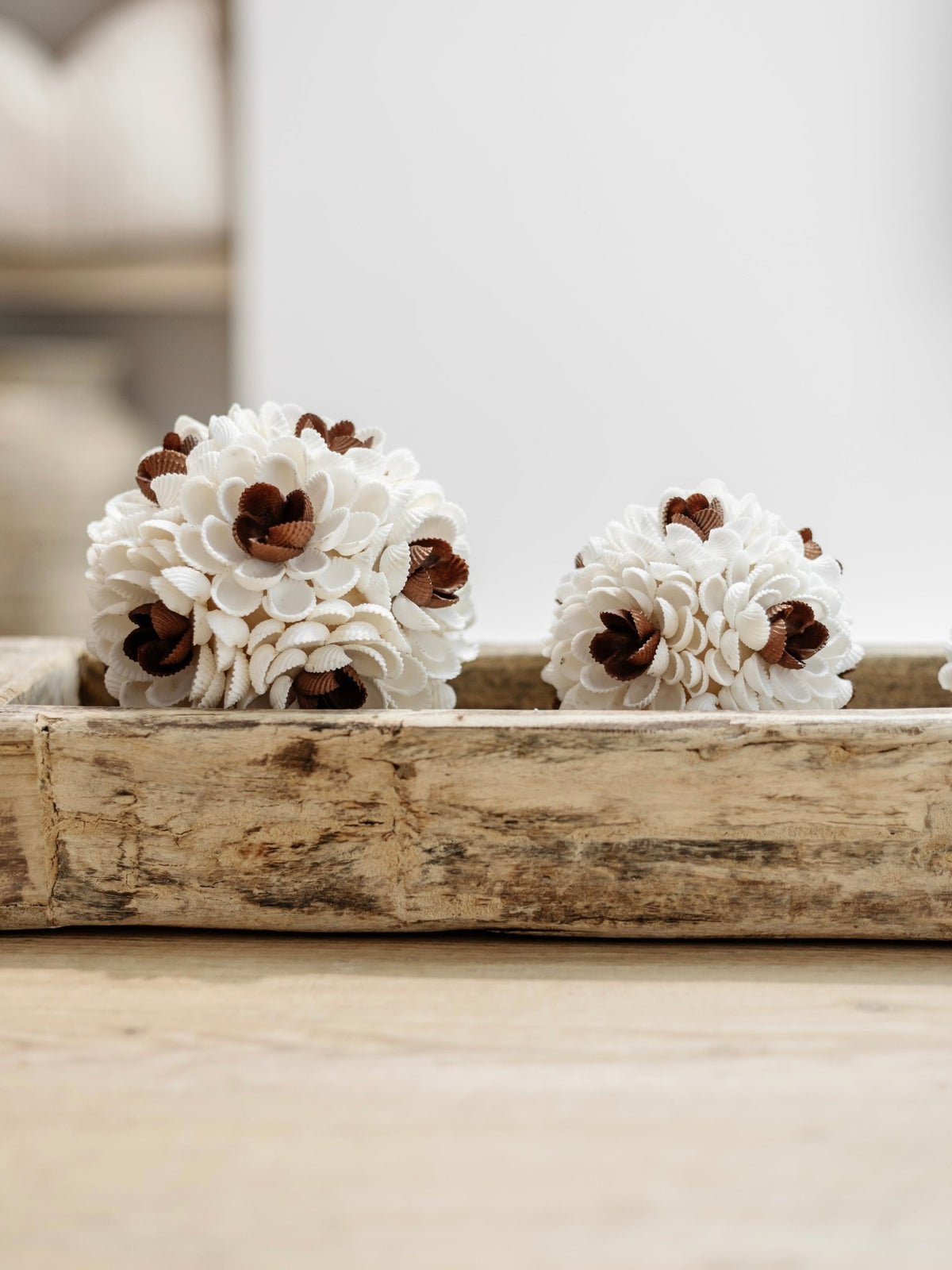 Zaya | Textured Shell Ball - Wander & Wild Home