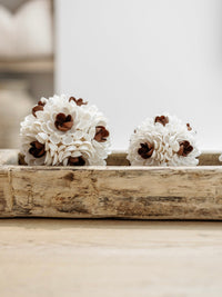 Zaya | Textured Shell Ball - Wander & Wild Home