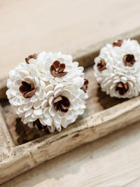 Zaya | Textured Shell Ball - Wander & Wild Home