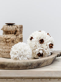 Zaya | Textured Shell Ball - Wander & Wild Home
