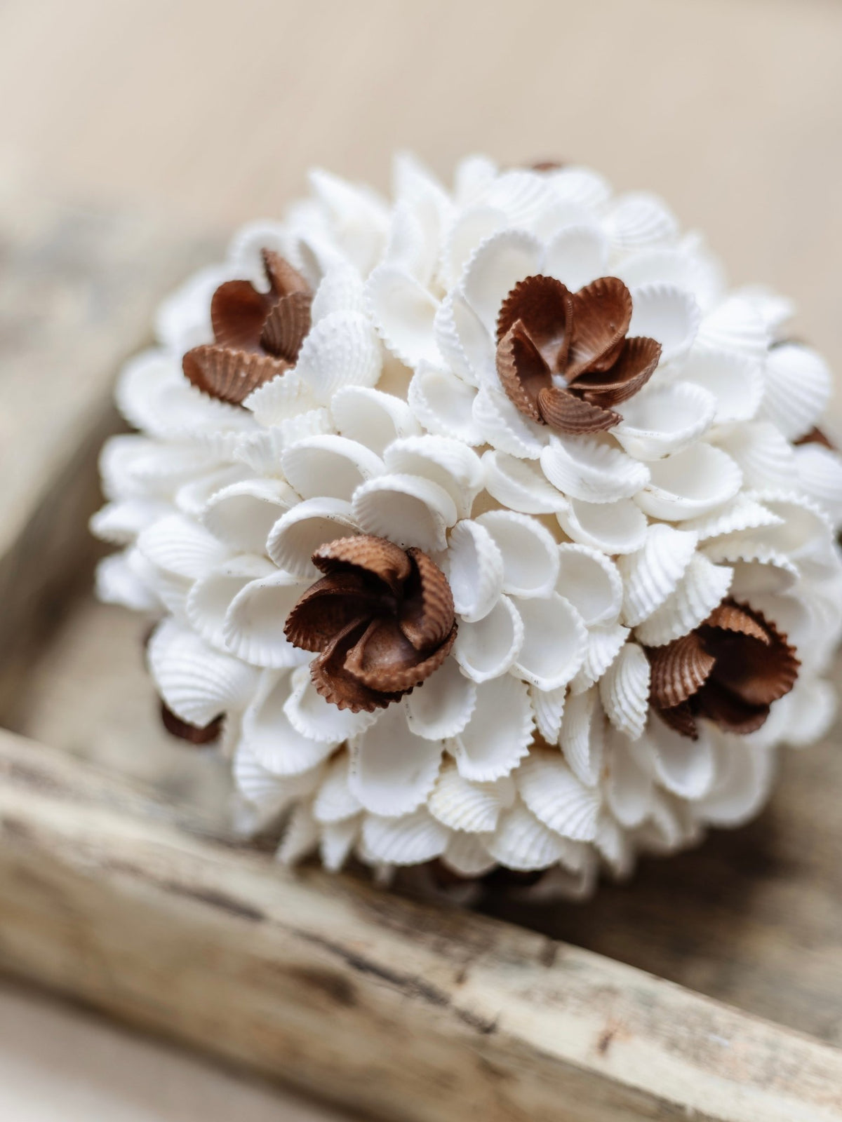 Zaya | Textured Shell Ball - Wander & Wild Home
