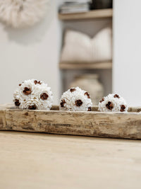 Zaya | Textured Shell Ball - Wander & Wild Home