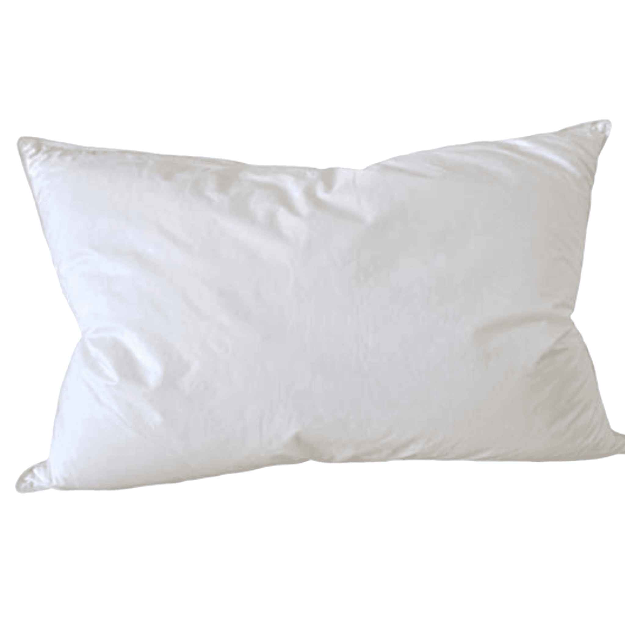 Feather Cushion Insert